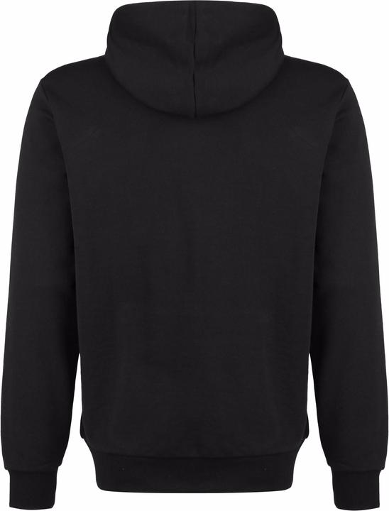 Actual product image Puma TeamGoal 23 Casuals Hoodie Men (XL)