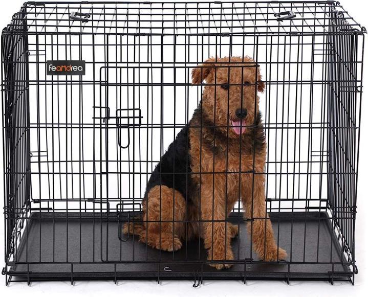 Image du produit Feandrea Doggo