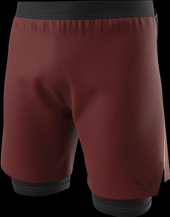 Produktbild Dynafit ALPINE PRO 2/1 SHORTS, Herren (L)