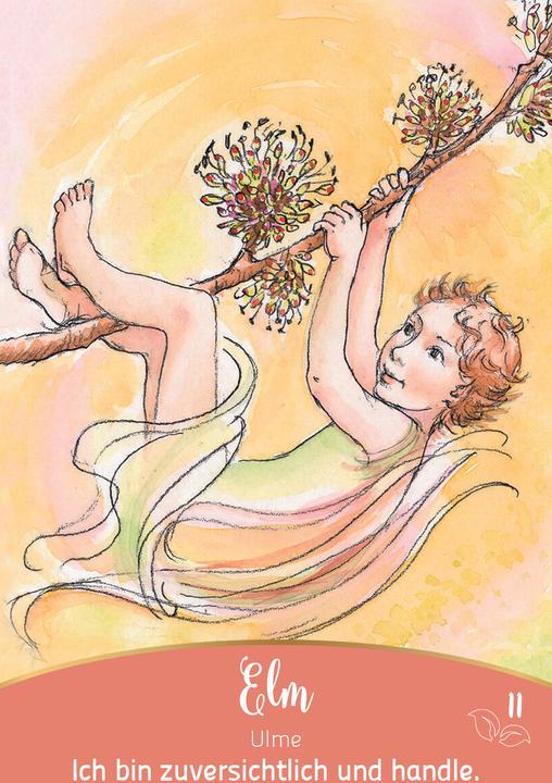 Actual product image Bachblüten-Botschaften - Wie die Seelenpflanzen dir helfen (German, Irene Drexler, 2024)
