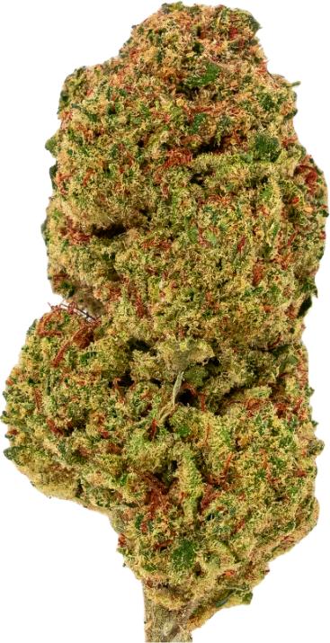 Immagine prodotto Green Passion Maui Wowy (10 g, Interno)