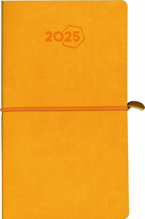 Image du produit Aurora Agenda Visuplan Tesoro 2025 2016 1W/2S ass. ML 9x16.5cm (Allemand)