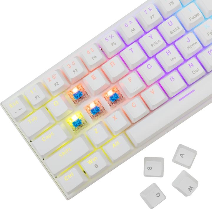 Image du produit White Shark GK-002221V2 Wakizashi-2 White US-Blue.SW (US, Filaire)