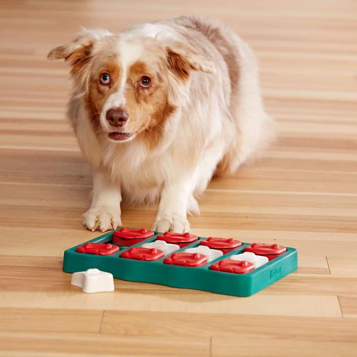 Produktbild Nina Ottosson Dog Brick (Intelligenzspielzeug Hund)