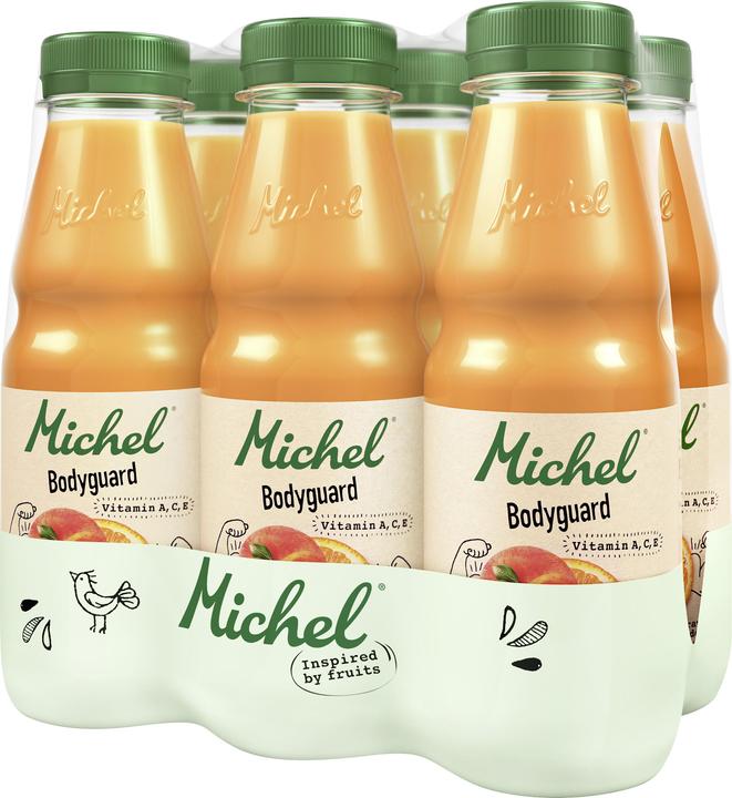 Image du produit Michel Bodyguard Commerce équitable 6x33cl PET (6 x 33 cl)