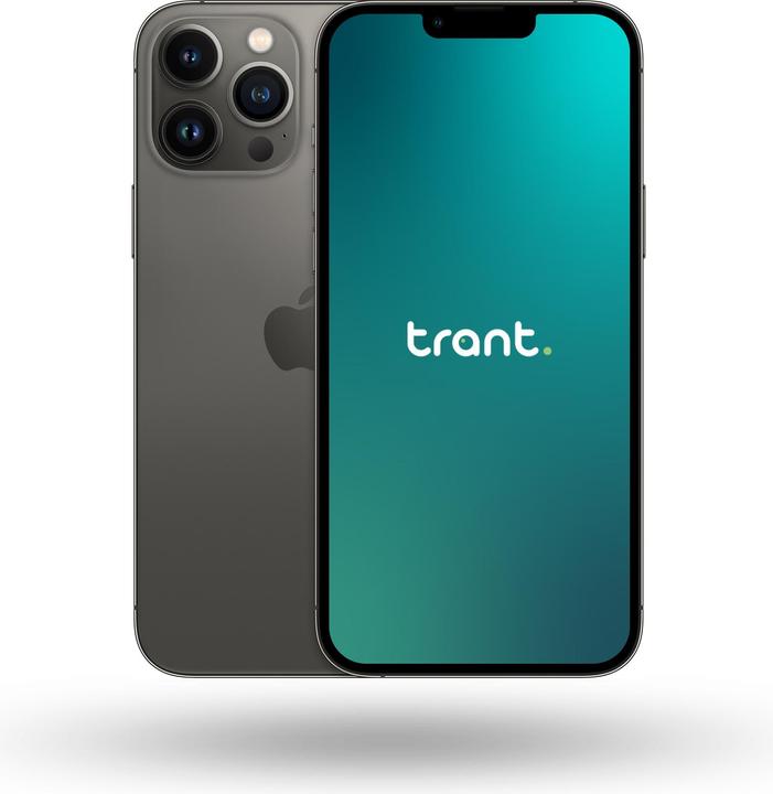 Trant.ch iPhone 13 Pro Max (256 GB, Grafite, 6.70", SIM + eSIM, A / Come nuovo)