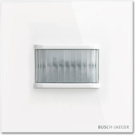 Immagine prodotto Busch-Jaeger Busch-Watchdog 180 gradi