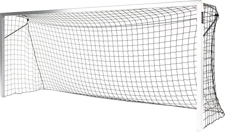 Produktbild Sport-Thieme Jugend-Fussballtor BlueGoal