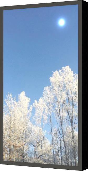 Actual product image HI-ND Wall Casing 43", Portrait for Samsung, LG & Philips, Polycarbonate protection, Black, 30 kg, 1