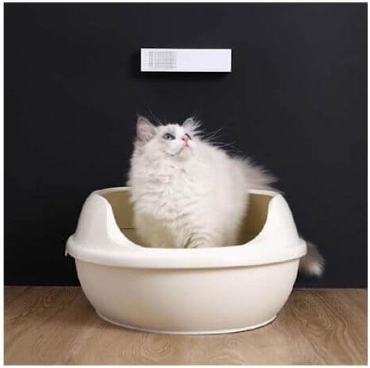 Immagine prodotto Petkit Pura Air Smart Odour Eliminator (Cane, Gatto)