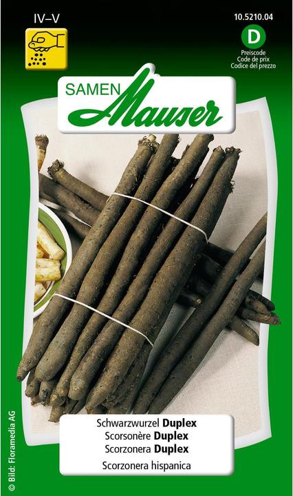 Produktbild Samen Mauser Schwarzwurzel Duplex (Gemüsesamen)
