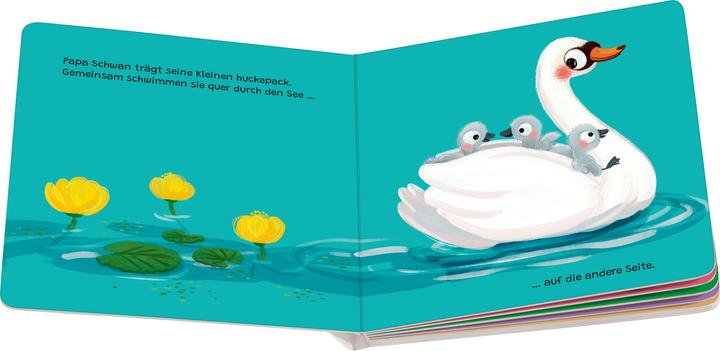 Produktbild Ravensburger Papa ist immer für mich da: Ein liebevolles Pappbilderbuch über die starke Bindung zwischen Vater (Deutsch)
