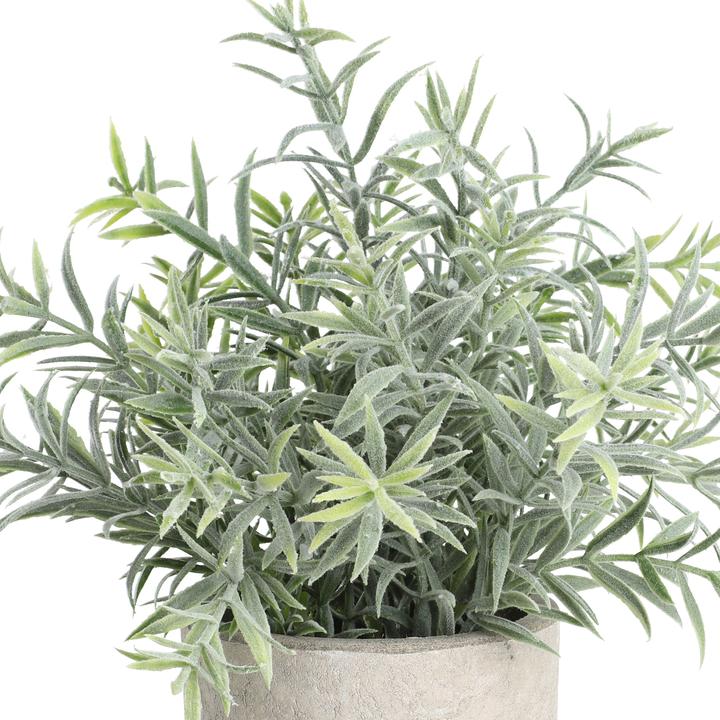 Actual product image EGLO LIVING Chitose (24 cm)