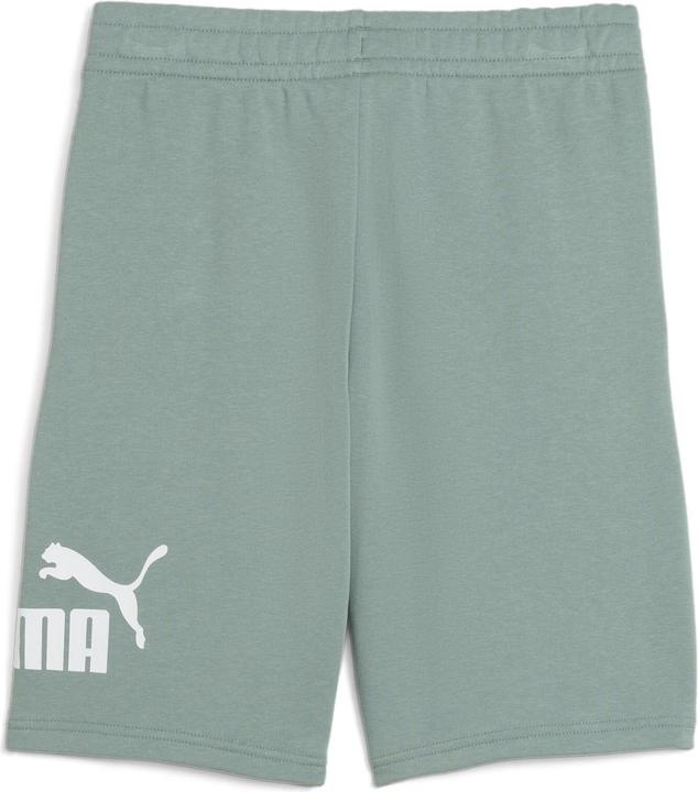 Image du produit Puma ESS No. 1 Logo Shorts TR B (164)