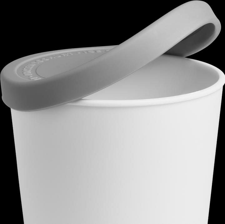 Actual product image Springlane Ice Container for Ice Cream (0.4L)