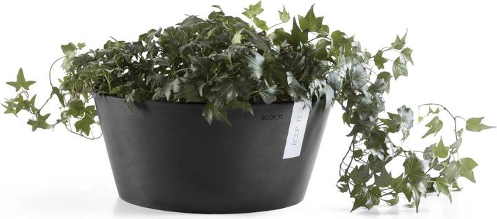 Actual product image Ecopots Frankfurt (30 cm)