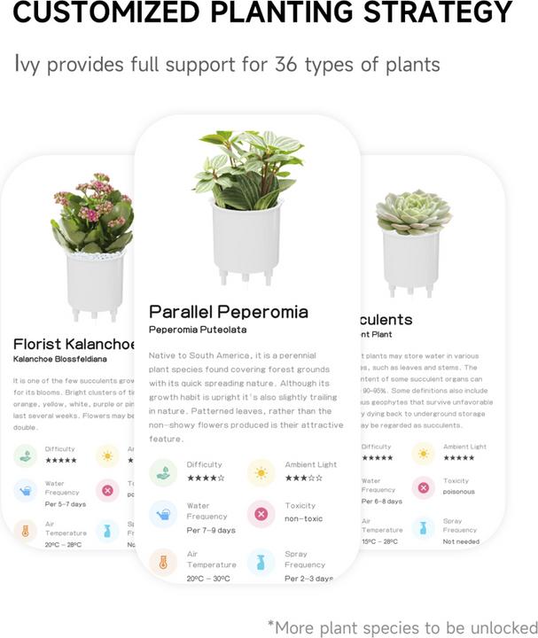 Actual product image Plantsio Ivy Smart Planter