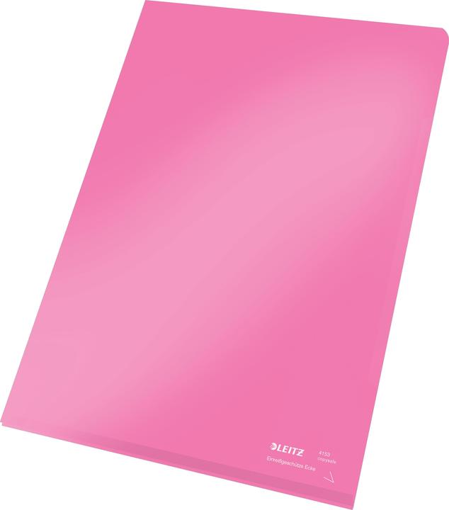 Actual product image Leitz Premium A4 Viewing Pouch (A4, 100 x)