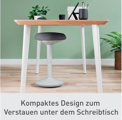 Image du produit Leitz Ergo Active
