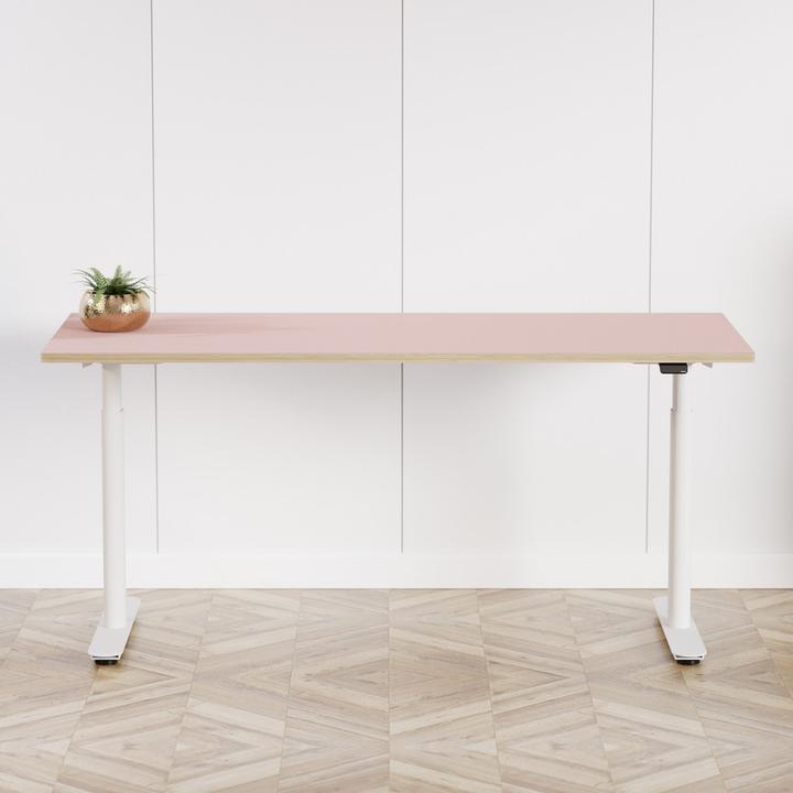 Actual product image ofinto Rise, mit Kabelmanagement-System