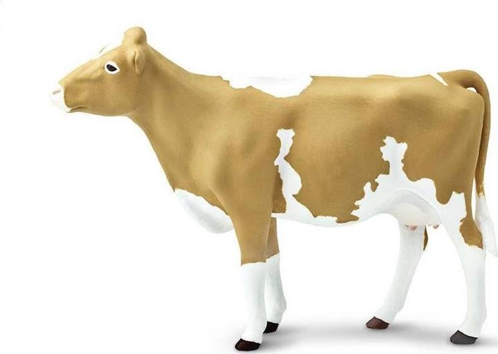 Actual product image Safari Guernsey beef