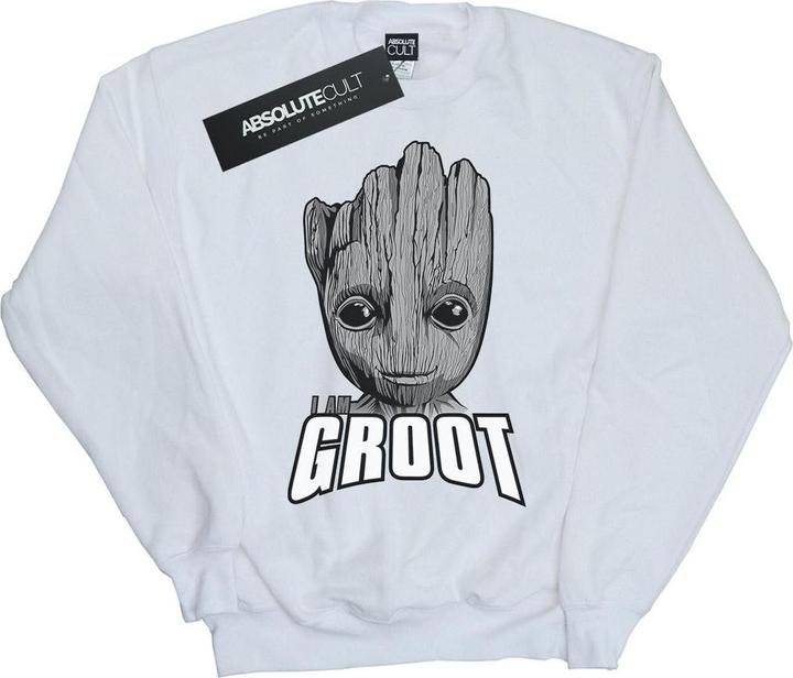 Produktbild Guardians Of The Galaxy Groot Face Sweatshirt Mädchen (152, 158)