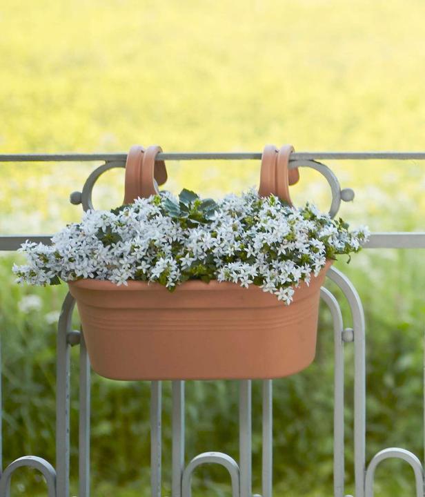 Image du produit Elho Bac à plantes Easy Hanger Green Basics, ovale, 26x36x25,7 cm, en plastique en terracotta (26.20 cm)