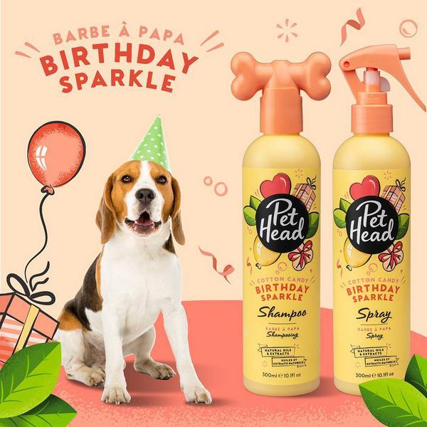 Produktbild Pet Head Shampoo Birthday Edition (Hund, 300 ml)