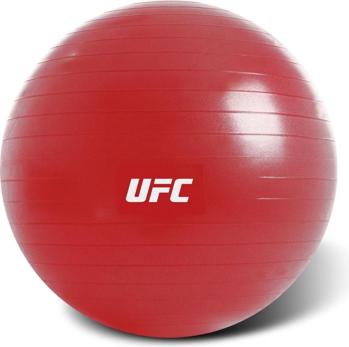 Actual product image UFC Fitball - 65cm (65 cm)