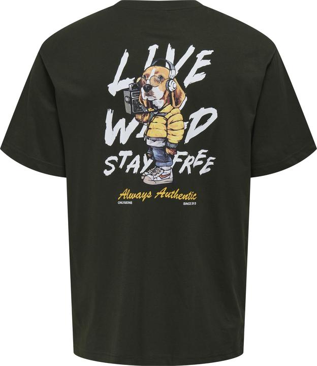 Actual product image Only & Sons Onskeane Rlx Ss Printed Tee Ss24 Noos (XXL)