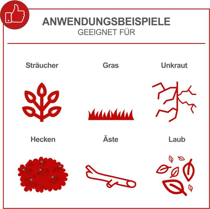 Image du produit Scheppach MTC42-5P (Taille-haie à essence)