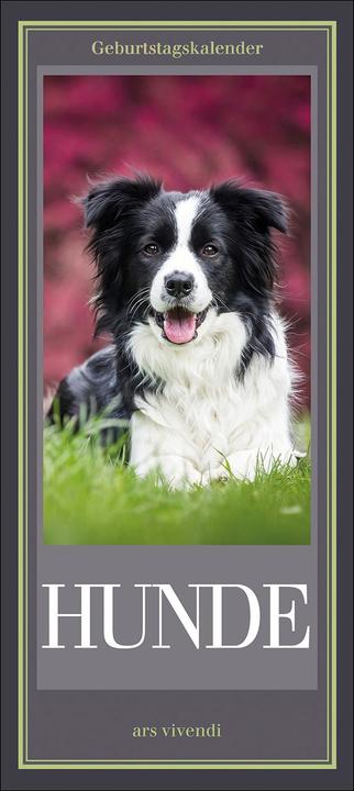 Produktbild Geburtstagskalender Hunde, immerwährend (Harter Einband, Deutsch)