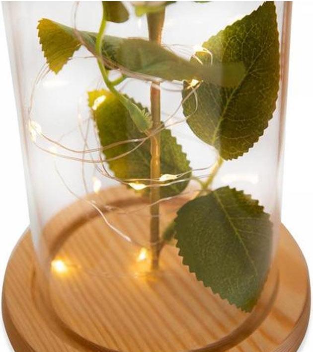 Actual product image TOP Eternal rose (Infinity Flowers)