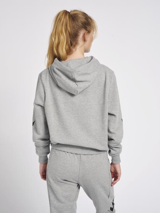 Image du produit hummel Legacy Graham Hoodie (XS)