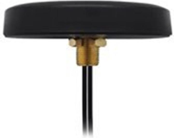 Actual product image Teltonika Antenna - Mobile Phone - 2.5 dBi (Main) (3G, GSM)