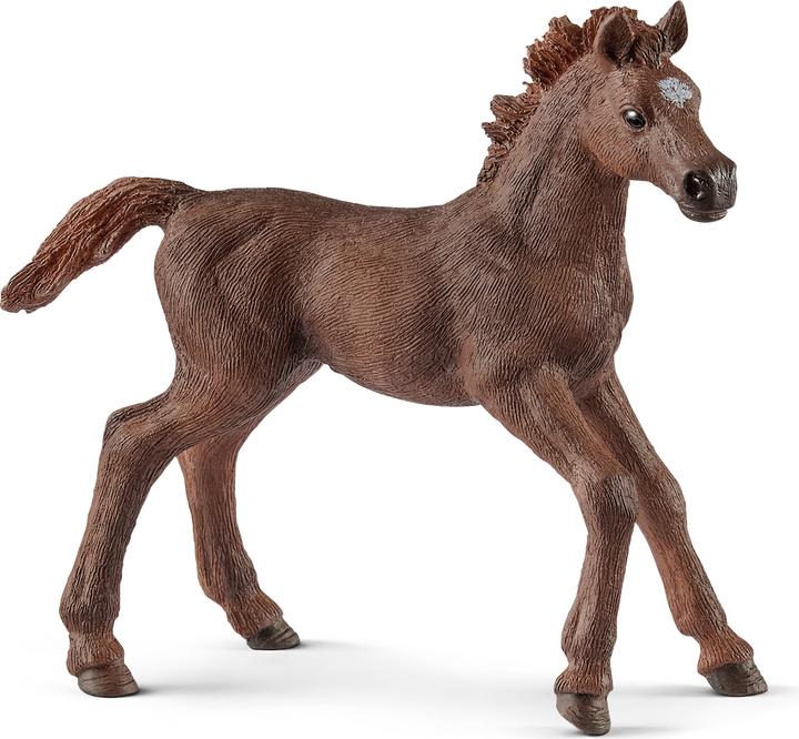 Produktbild Schleich Englisches Vollblut Fohlen