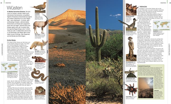 Produktbild Tiere (Deutsch, DK Verlag, Christiane Gsänger, Andreas Held, David Burnie, Dr. Gabriele Lehari, 2024)