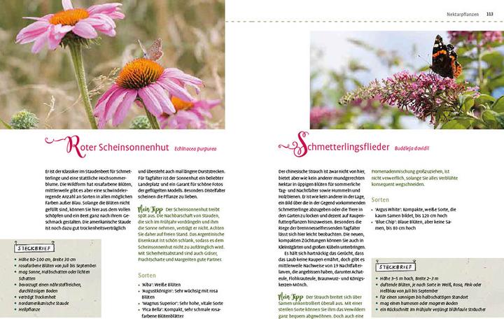 Produktbild Mein Schmetterlingsgarten (Deutsch, Elke Schwarzer, 2022)