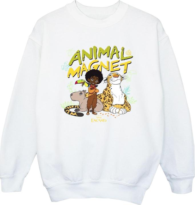 Disney Encanto Animal Magnet Sweatshirt Mädchen