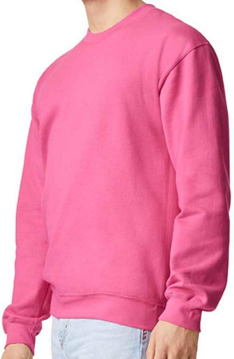 Actual product image Gildan Mens Softstyle Midweight Sweatshirt (M)