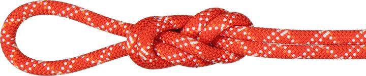 Actual product image Mammut Kletterseil 9.5 Gym Classic Rope 40 m (40 m)