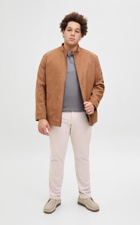 Actual product image Jack & Jones Plus Size Slim Fit Slim Fit Hosen Slim Fit Hosen (W46/L32)