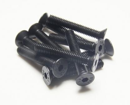 Immagine prodotto EP Viti svasate M5x25 (10 Viti per pezzo)