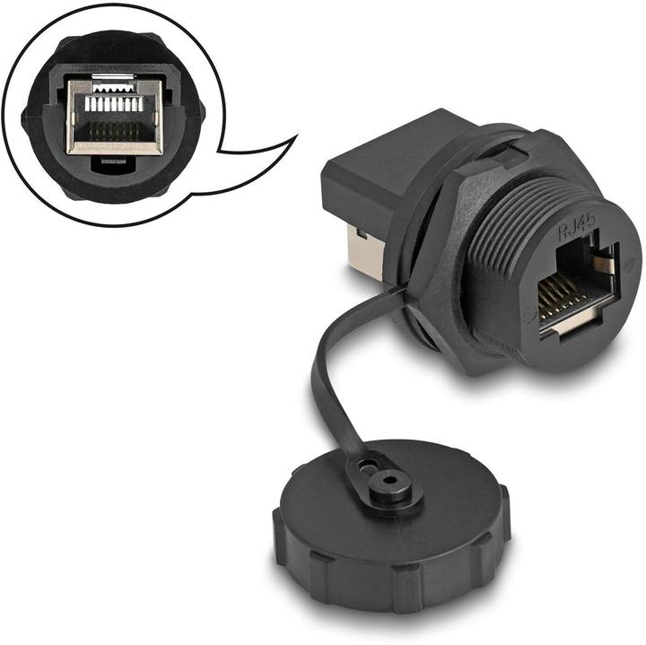 Image du produit Delock Connecteur RJ45 Cat.6A avec capuchon à encastrer IP67 étanche à la poussière et à l'eau (Raccord réseau)