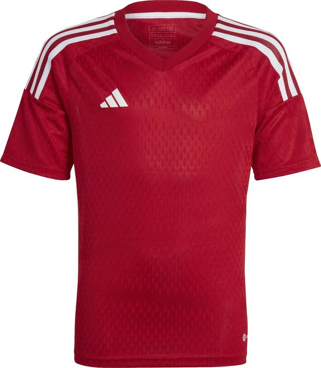 adidas Tiro 23 Club Trikot Kinder