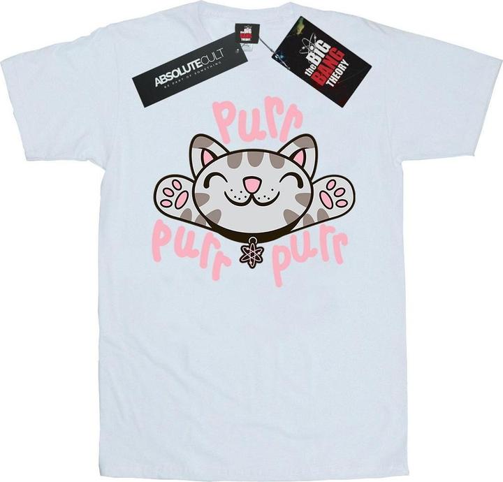 Actual product image Big Bang Theory Womens/Ladies Soft Kitty Purr Cotton Boyfriend T-Shirt (M)