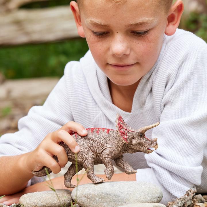 Image du produit Schleich Triceratops