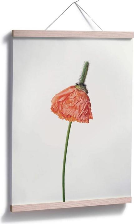 Image du produit Trenddeko La fleur rouge 01 (30 x 40 cm)