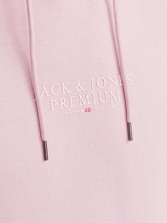 Immagine prodotto Jack & Jones Jprbluarchie Sweat Hood Noos (S)