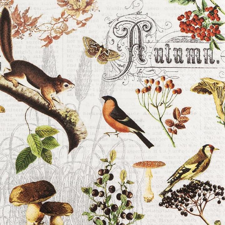 Home Fashion Herbst Collage (20 x, 33 x 33 cm)